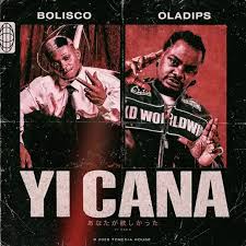 Bolisco Oladips Yi Cana