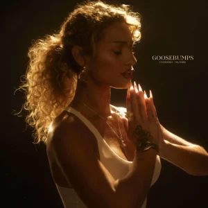 DaniLeigh Ft. Olamide – Goosebumps